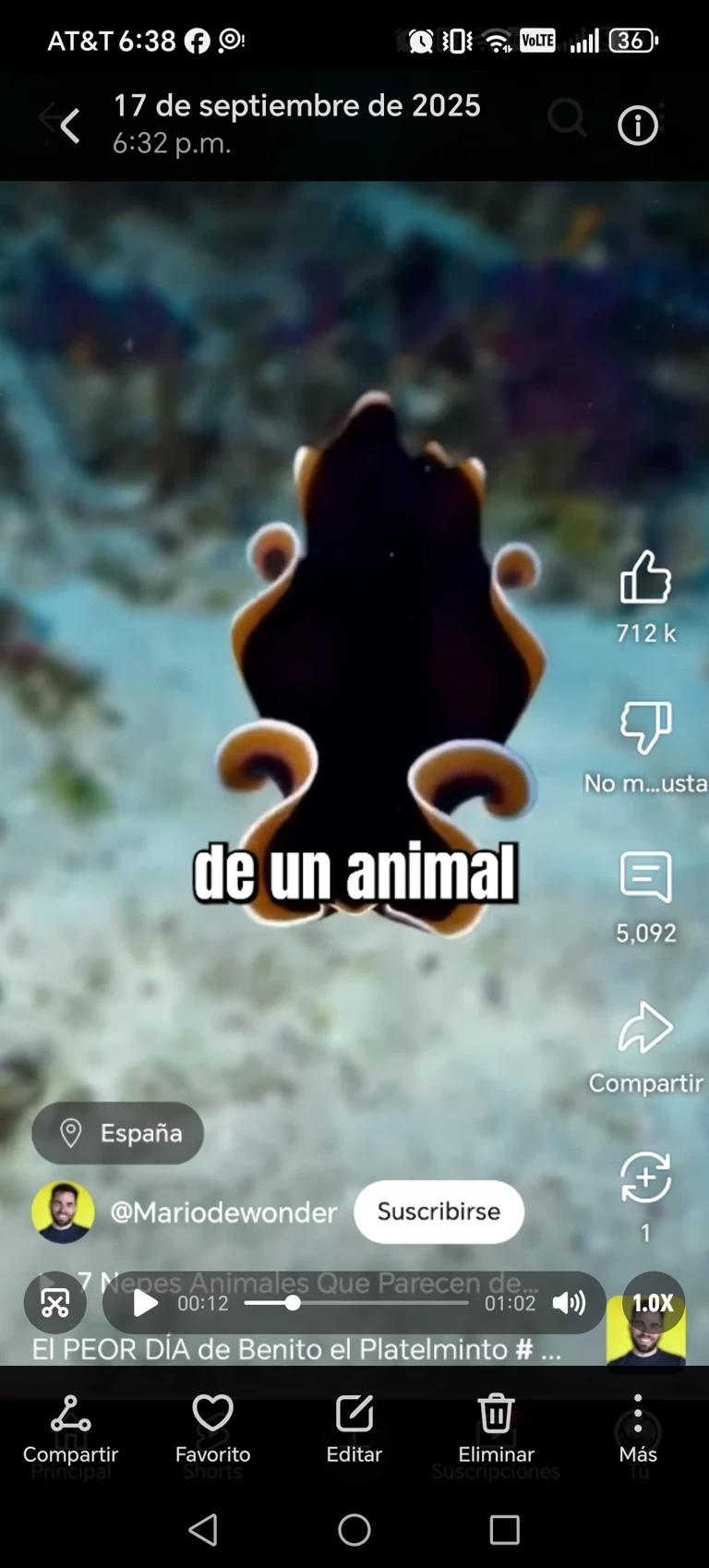 Pseudobiceros thumbnail