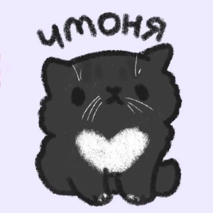 🐱cat🐱 thumbnail