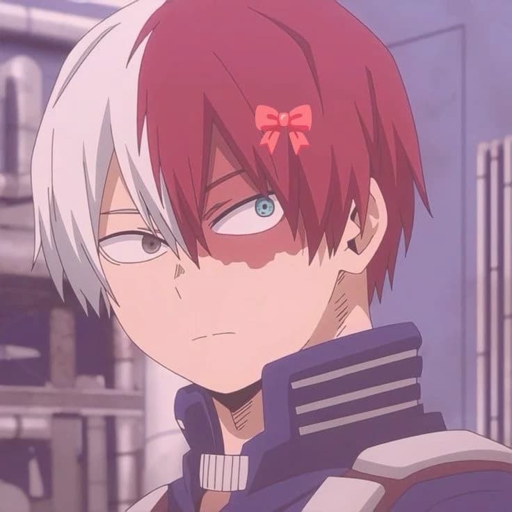 Todoroki Shoto thumbnail