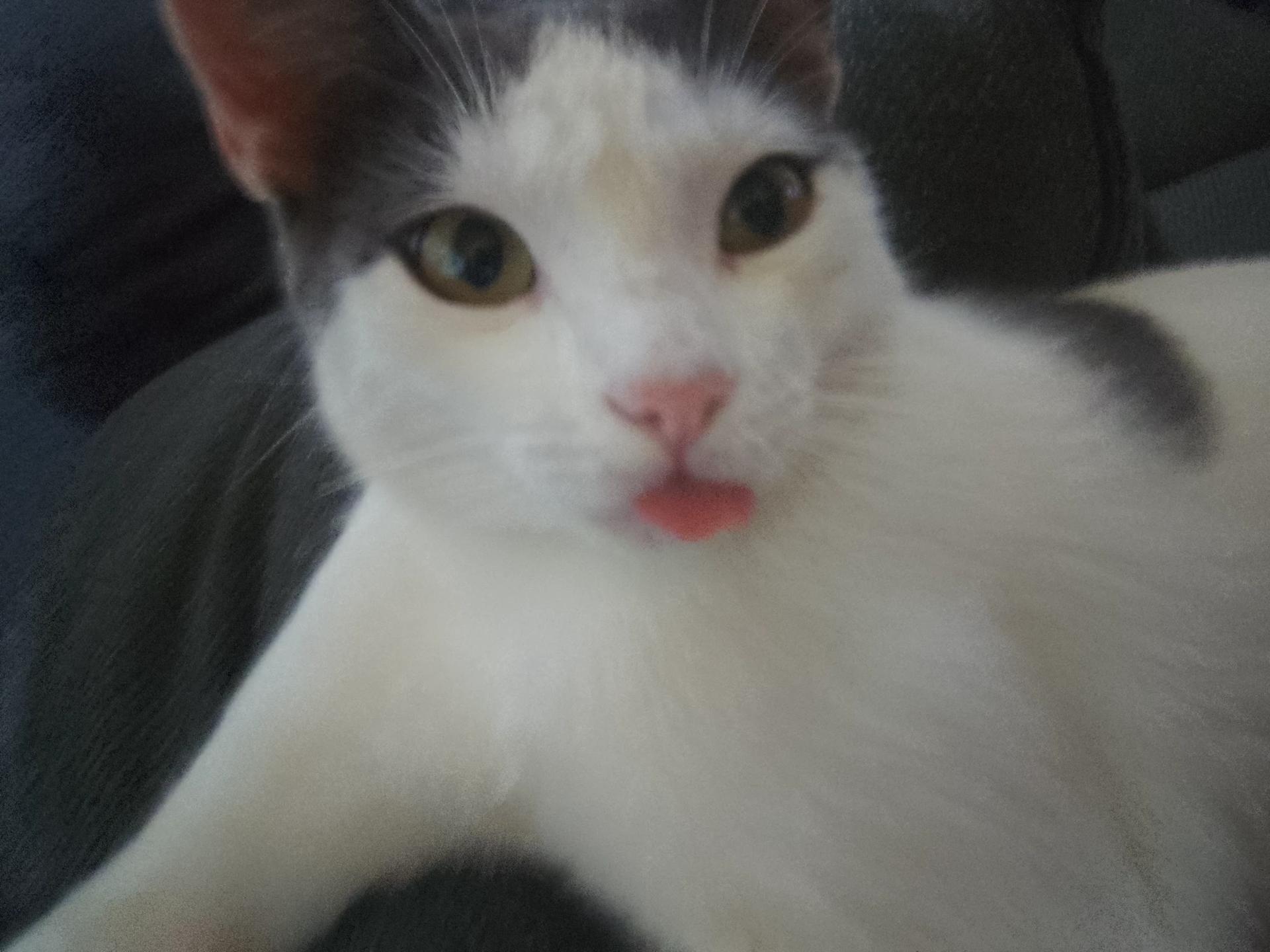 your owner thumbnail