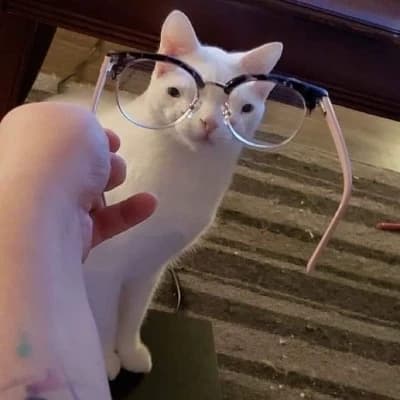 Nerdi thumbnail