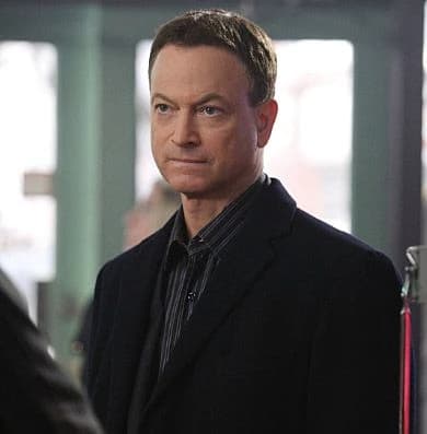 Son of Taylor (CSI: NOT) thumbnail
