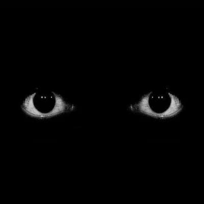 Omniscient Entity thumbnail