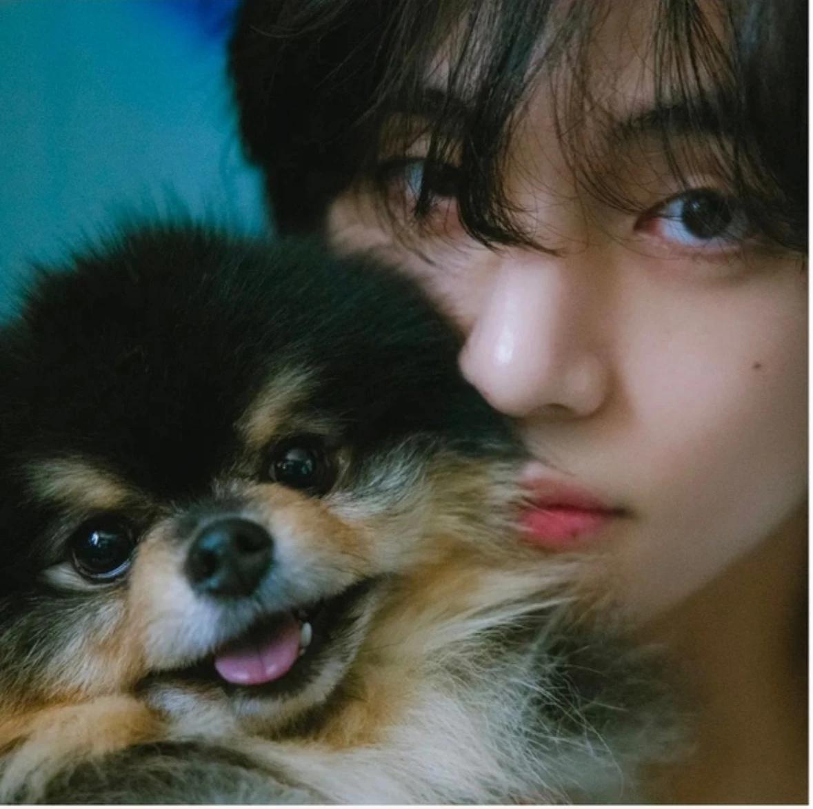 Taehyung thumbnail