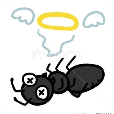 Arturo, the Bereaved Ant thumbnail