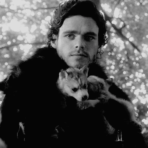 Robb Stark thumbnail