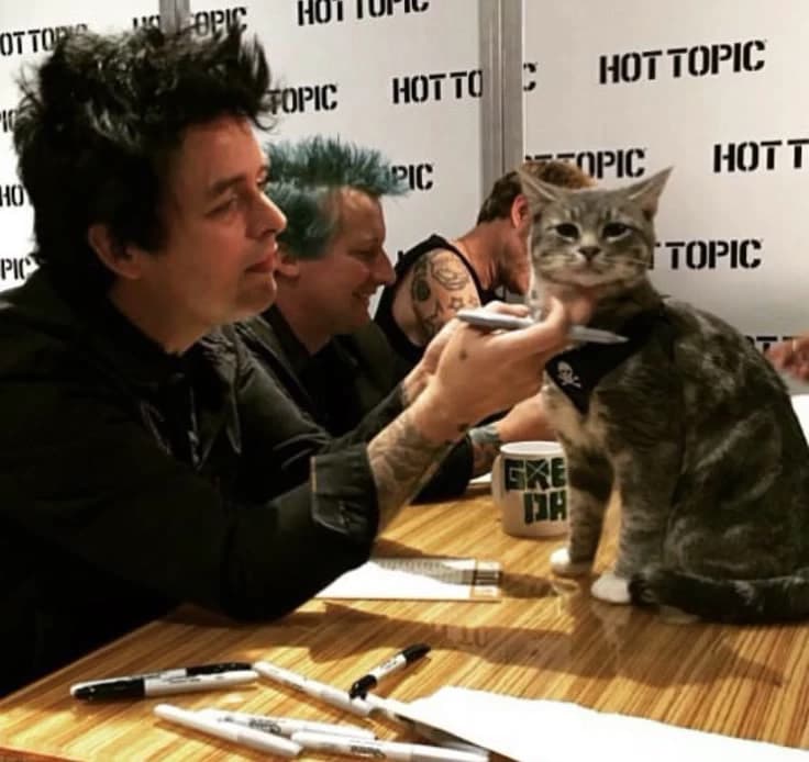 Billie Joe Armstrong thumbnail