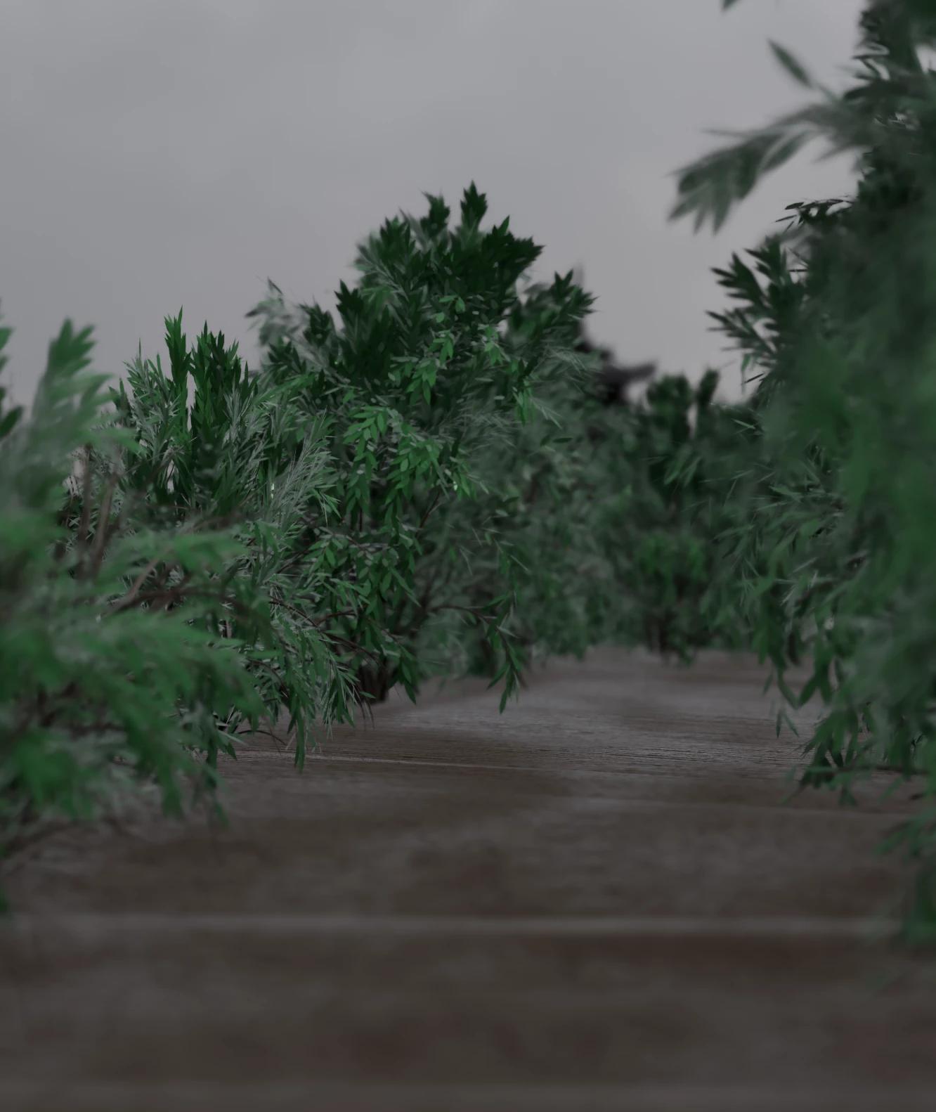 -THE PATH- thumbnail