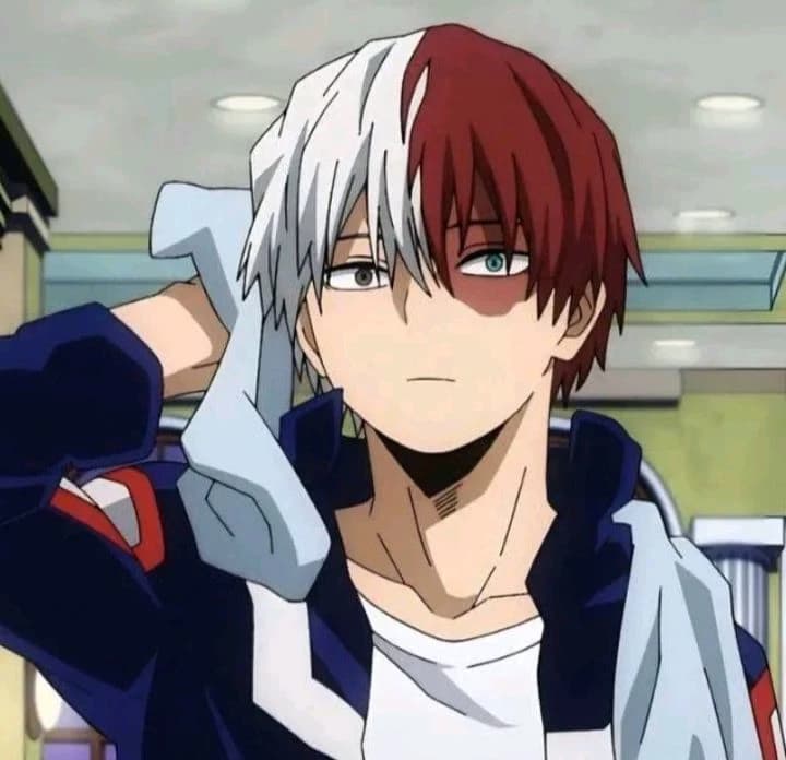Shoto todoroki thumbnail