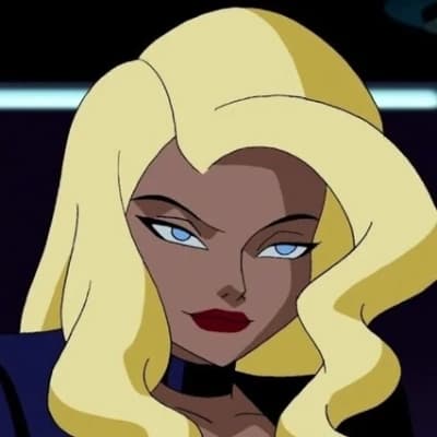 Dinah Laurel Lance / Black Canary thumbnail