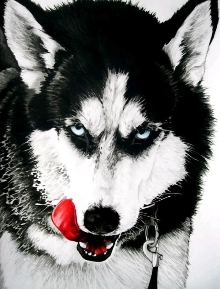 your dog change forms thumbnail