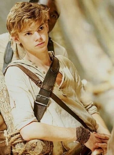 Newt thumbnail
