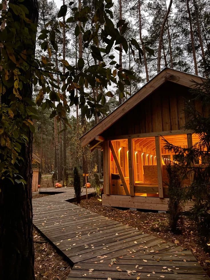 House in the forest thumbnail