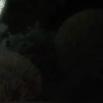 Aki thumbnail