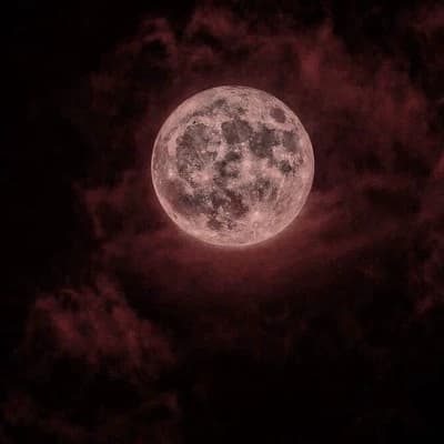 Vampire! thumbnail