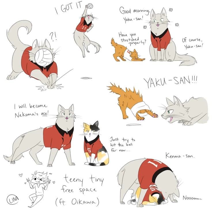 Haikyuu but as cats thumbnail