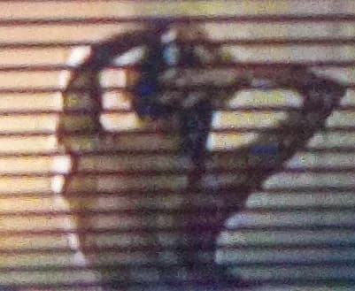 Stalker thumbnail
