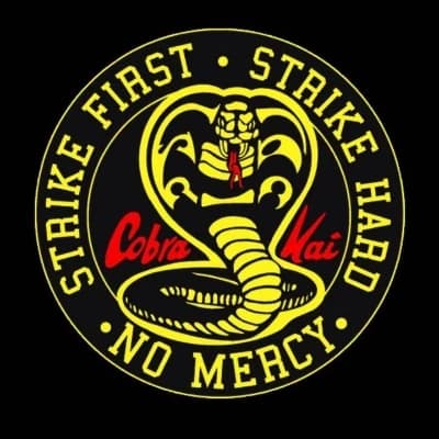 Cobra kai thumbnail