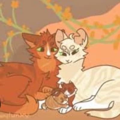 Warrior cats  thumbnail
