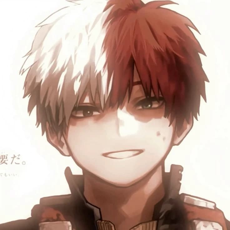 Shoto Todoroki thumbnail