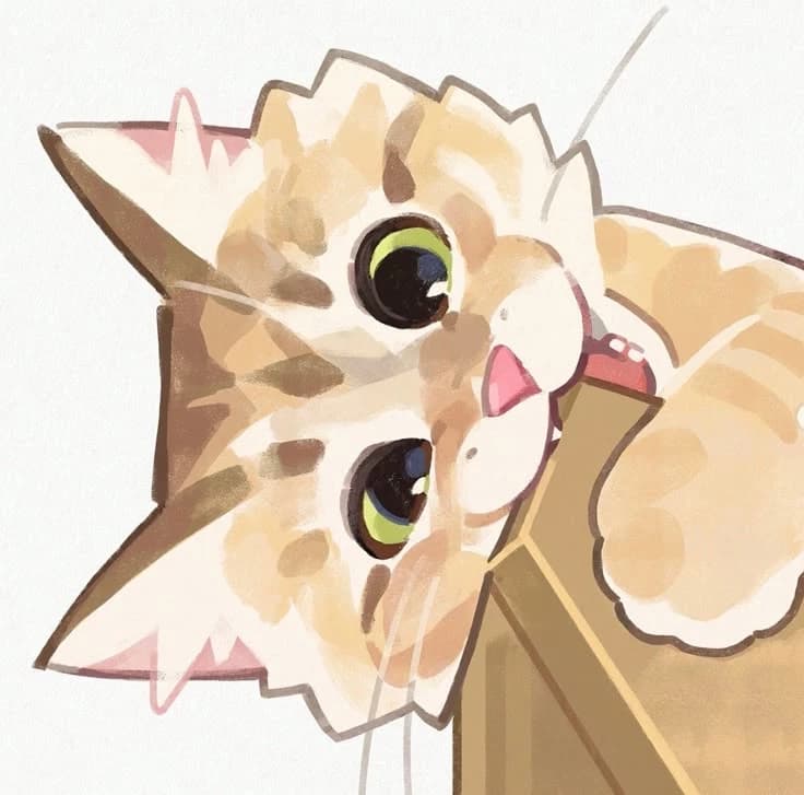 kitten thumbnail