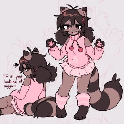 Ghetto Raccoon Girl thumbnail