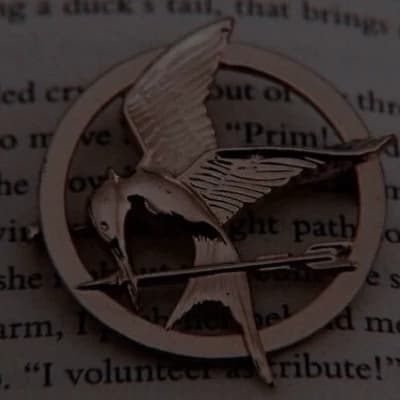 ||🏹|| HUNGER GAMES||BL|| thumbnail