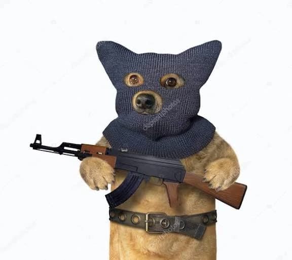 Criminal dog thumbnail