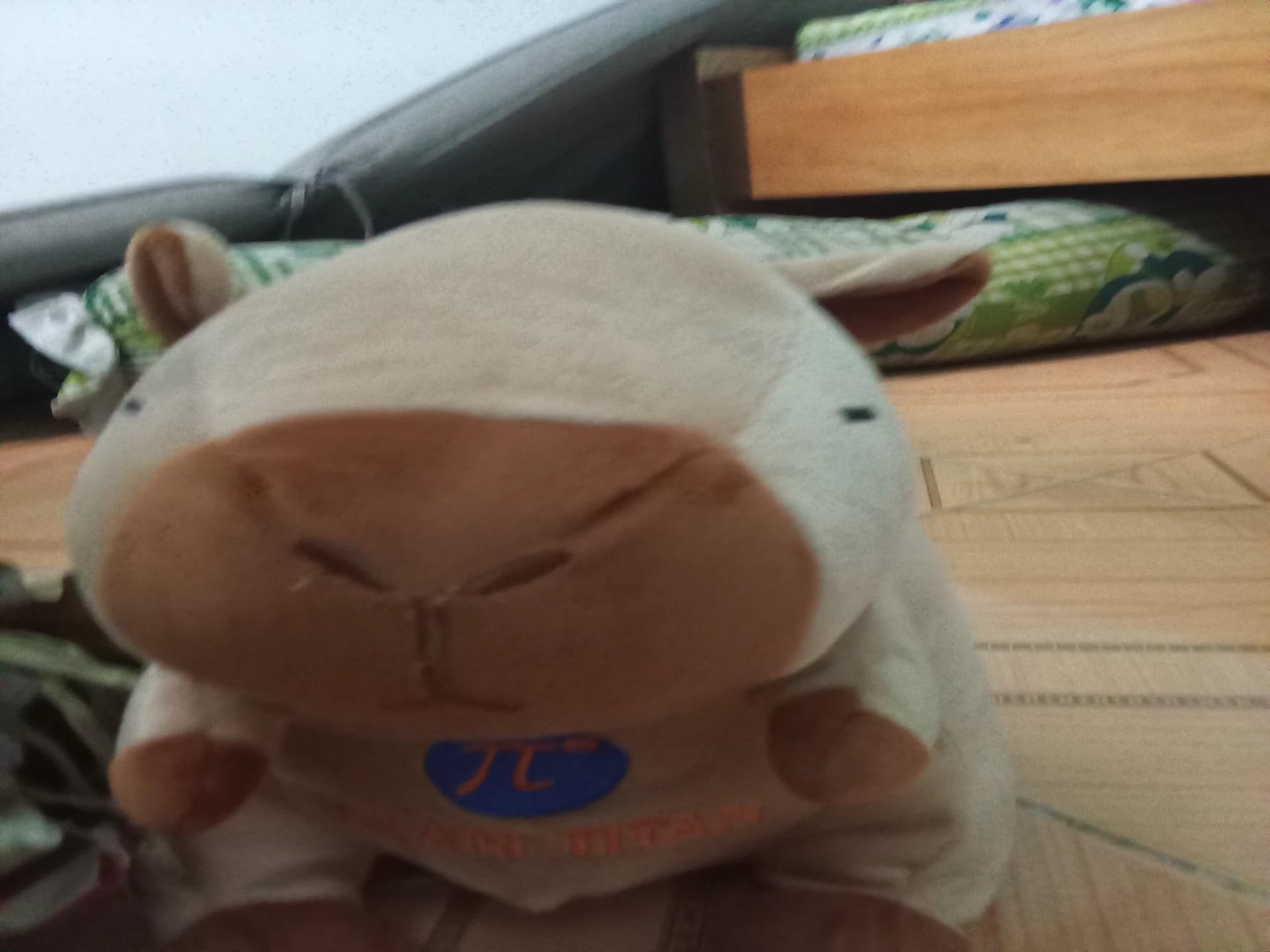 Capybara thumbnail
