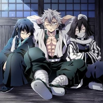 Sanemi Shinazugawa Tokito Muichiro and Obanai Iguro their husbands thumbnail