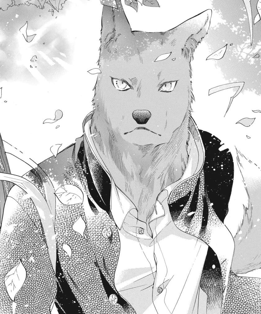 Hidaka Tsunago thumbnail