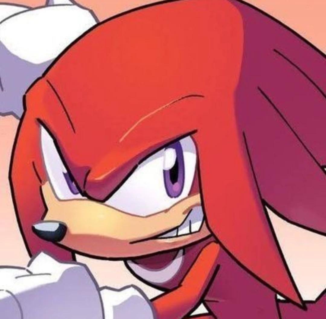 Knuckles The Echidna! [VILLAIN USER] thumbnail