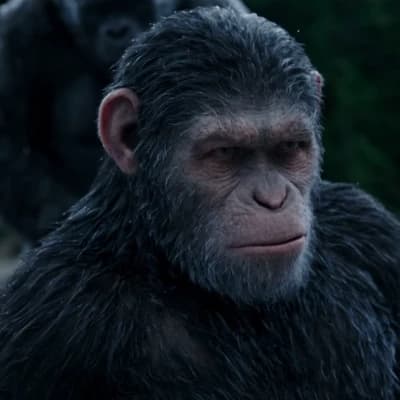 Caesar thumbnail