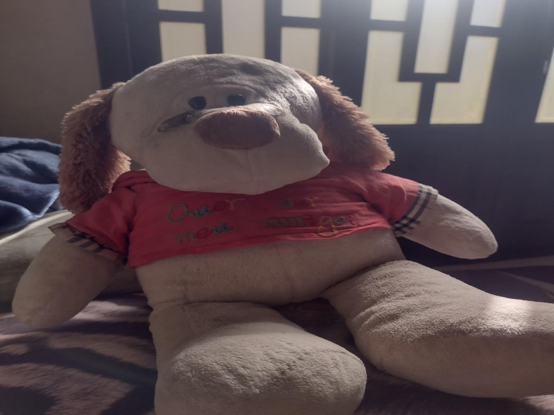 Teddy Bear thumbnail