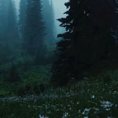 Create your own story thumbnail