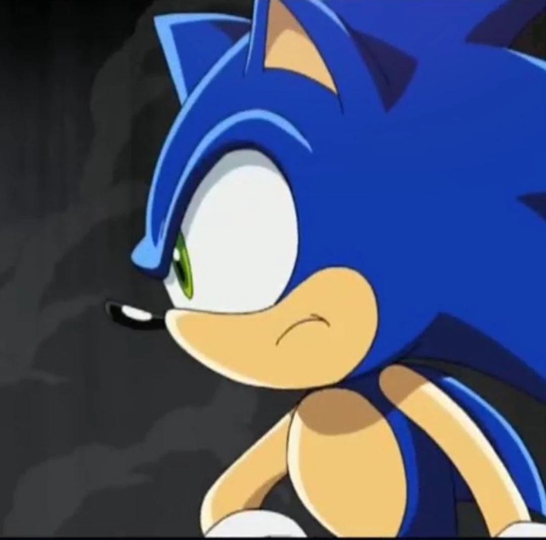 Sonic The Hedgehog! [VILLAIN USER] thumbnail