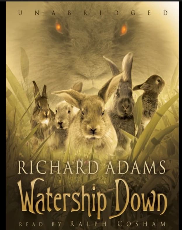 JJK x watership down  thumbnail
