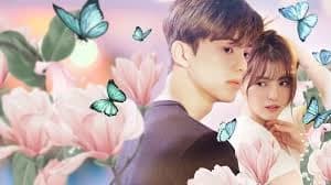 Park Jae-eon thumbnail