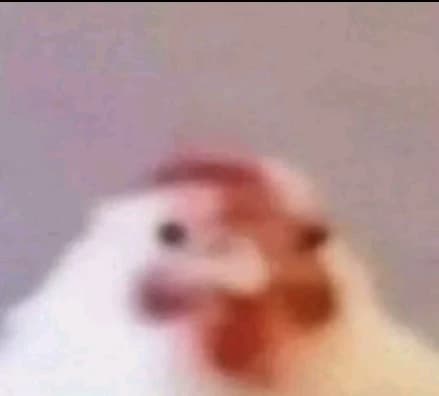 Chicken thumbnail