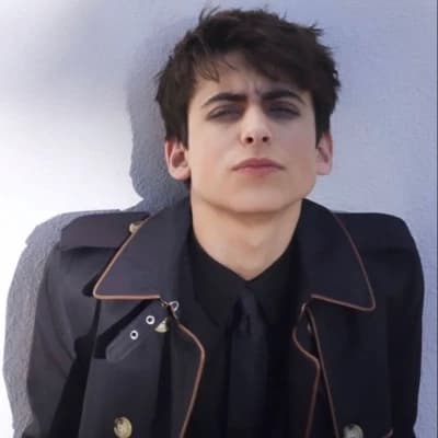 Aidan Gallagher thumbnail