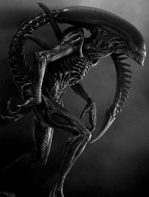 Xenomorph - Extraterrestrial thumbnail