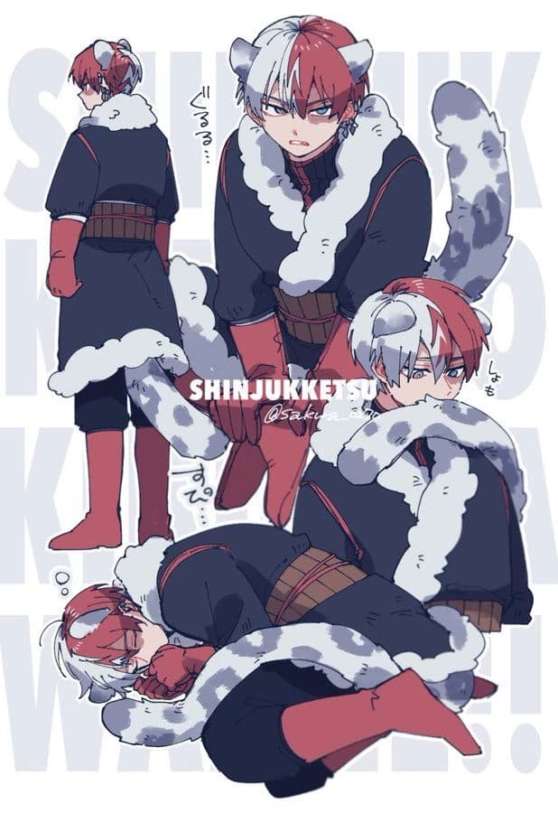 shoto todoroki thumbnail