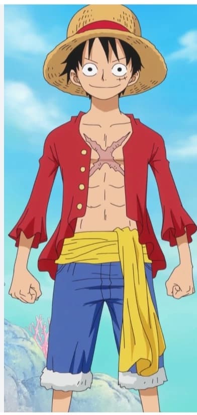 Monkey D Luffy (Pirate Leader) thumbnail