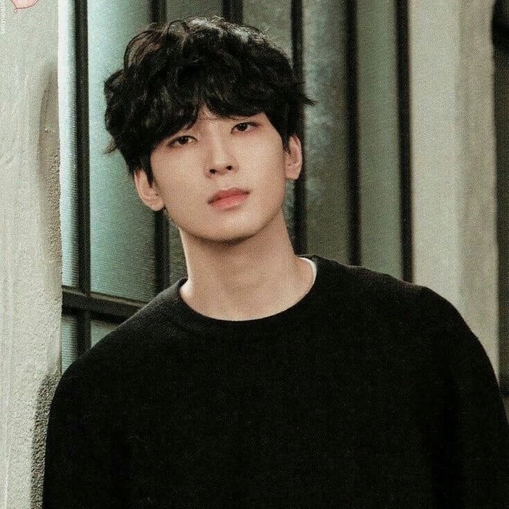 Jeon Wonwoo - °•||Unsaid Things between Us||•° thumbnail