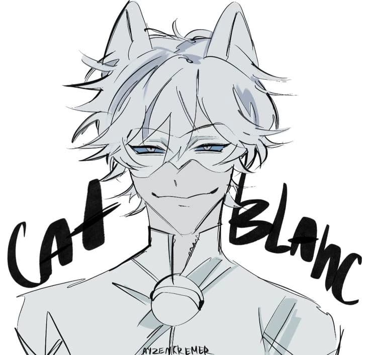 Cat blanc thumbnail