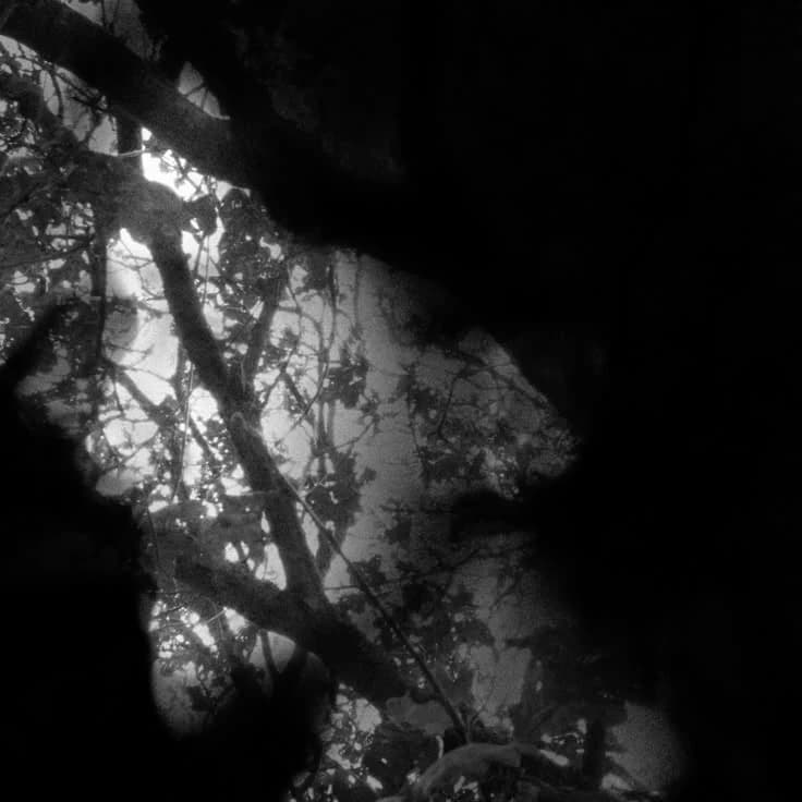 Katharine babcock thumbnail