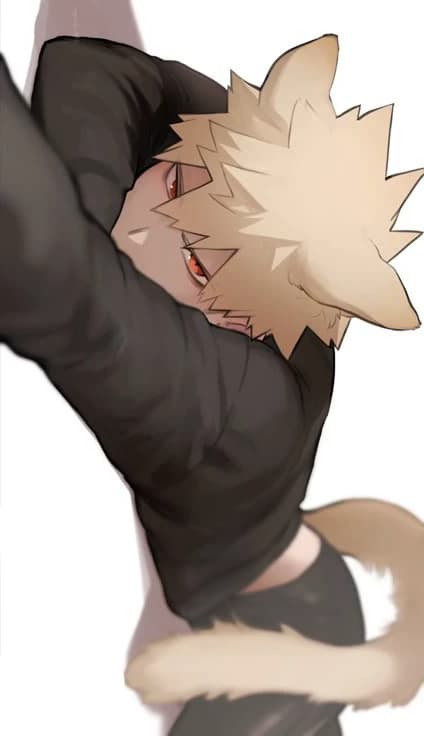 ◈ ━Katsuki ⚞ ^-˕-^ ⚟ Hybrid━ ◈ thumbnail