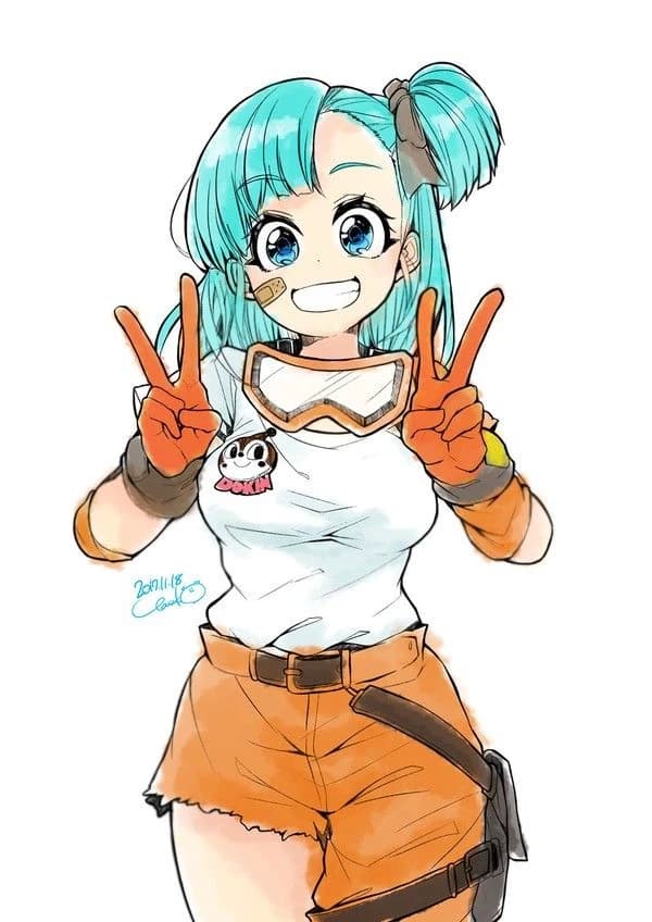 Bulma Brief thumbnail