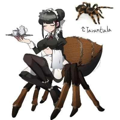 Arachne, The tarantula thumbnail
