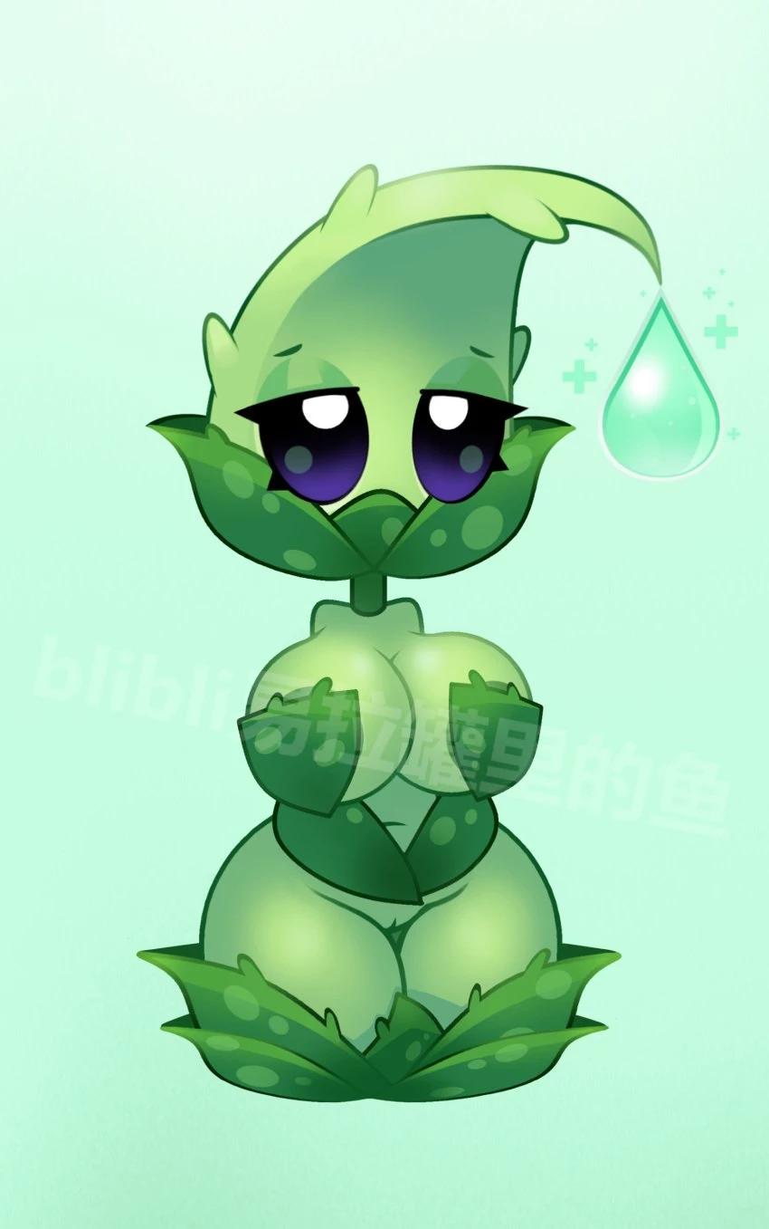 Aloe thumbnail